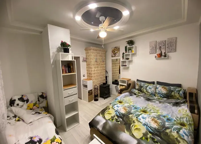 Frendly Flat Free Wifi & Parking Kitchen Equipment Cosy