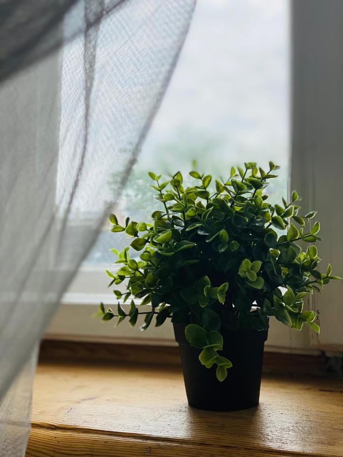 Apartment Cosy