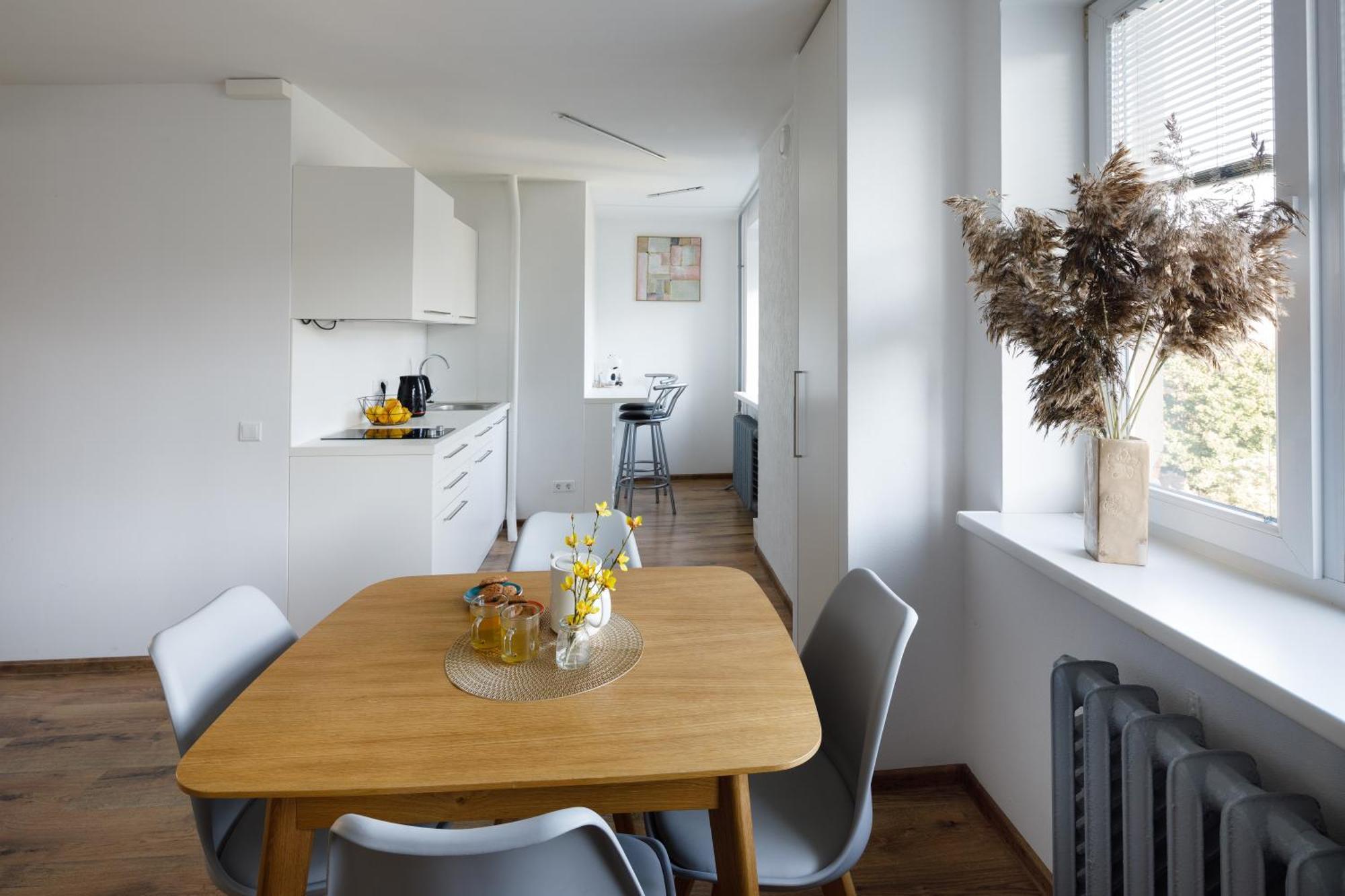 Brivibas Yard With Parking In Center Huoneisto *