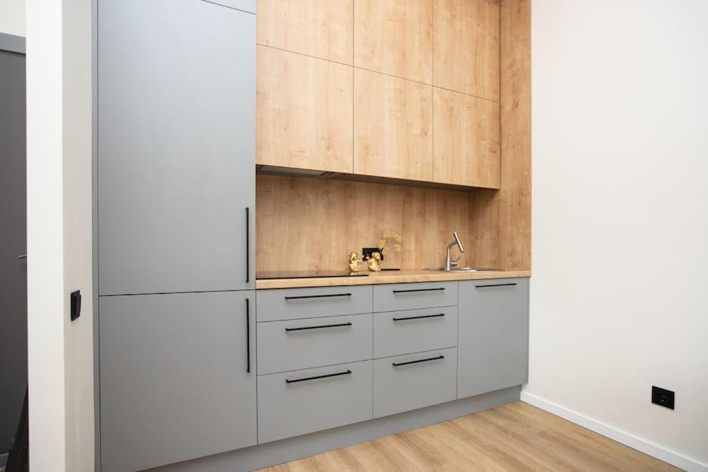 Bright And 2-room Flat Near The Old Town Riga