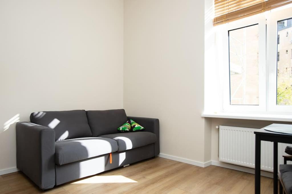 Butas Bright And 2-room Flat Near The Old Town Riga