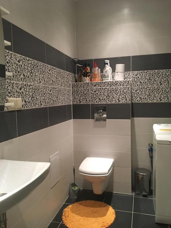 Apartment Ernesta Birznieka-upisa Iela
