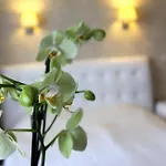 Hotel Felicia
