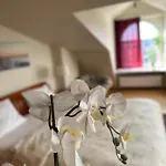 Old Town Apartment With Sauna