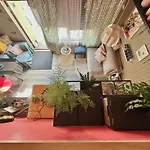Amazing Little House On An Island With Garden
