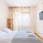 Spacious Apartment In A Park Zone With The Private Terrace