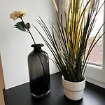 Zanna\'S Apartment - Matisa 101