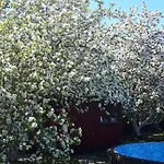 Guest House Yoyo