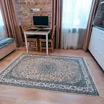 Stylish Latvian-Style Studio Apartment Near City Center, Parks, Cafes & Public Transit