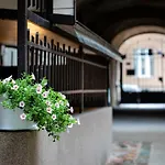 Riga City Family Apartment