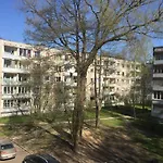 Lattino Pietura