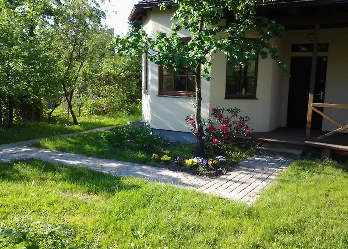 Boutigue City House With Terrace And Garden Free Parking