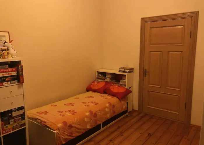 Classical Large Apartment On Alberta Street, Free Locked Parking