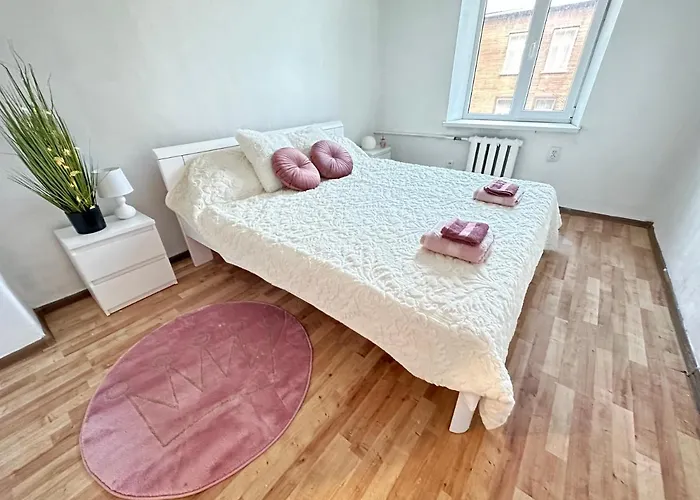 Bruninieku Street Apartment