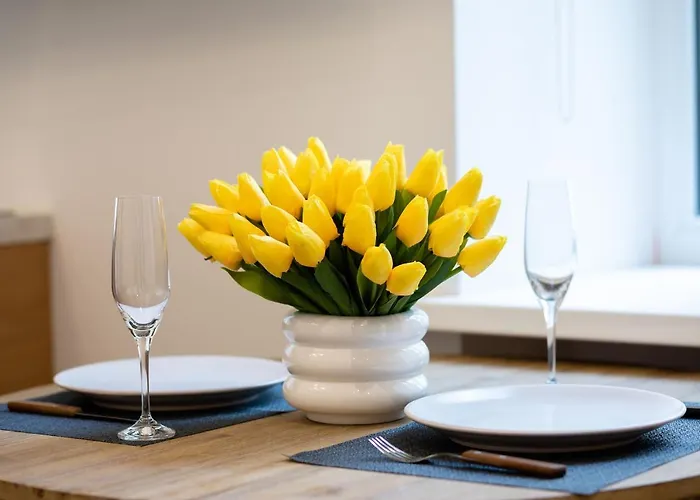 Brivibas House Design Apartments In City Center