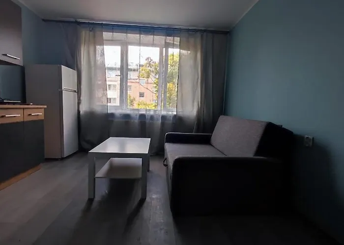Burtnieku 33