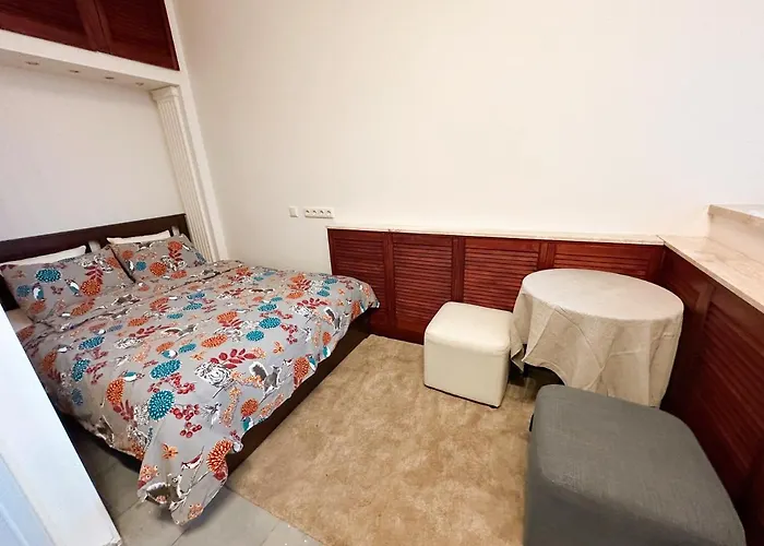 Cozy 33M2 2-Room Studio Apartment In City Center