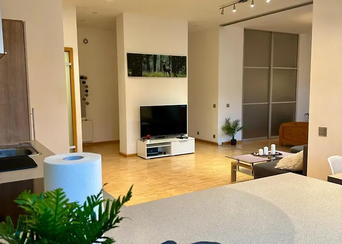Riga Cozy Central Condo