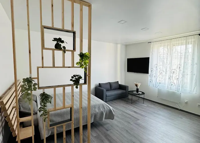 Modern Studio Apartment In Riga