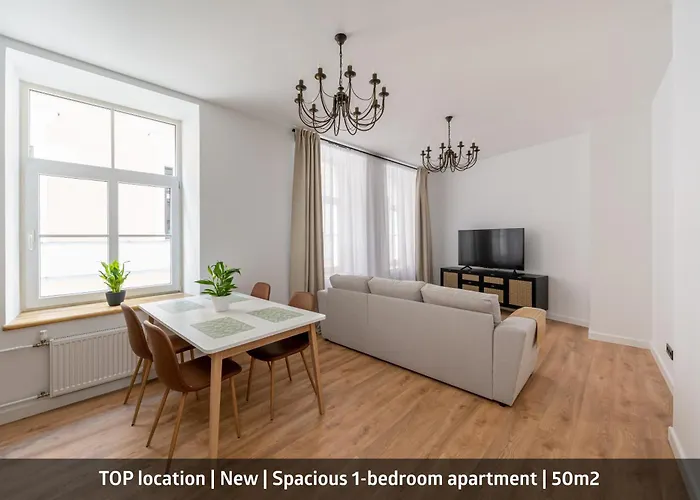Spacious 1-Bedroom Apartment In The Heart Of Old Town