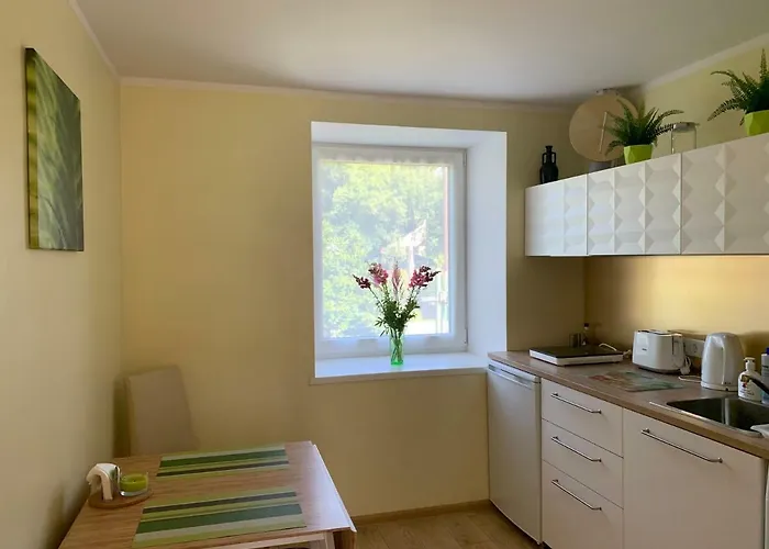 Excelent Apartment With Garden And Free Parking