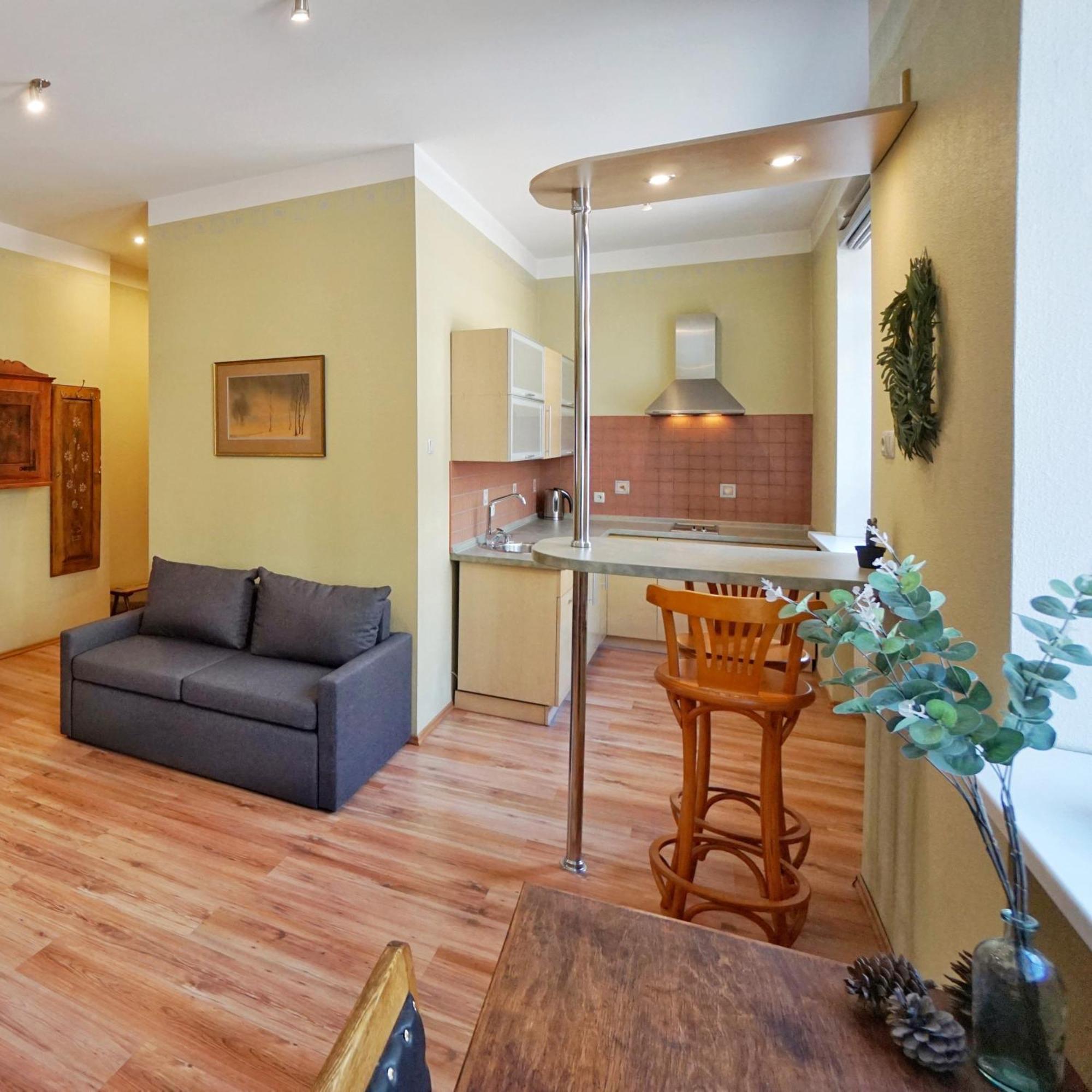 Center Olive Tree Apartment Riga