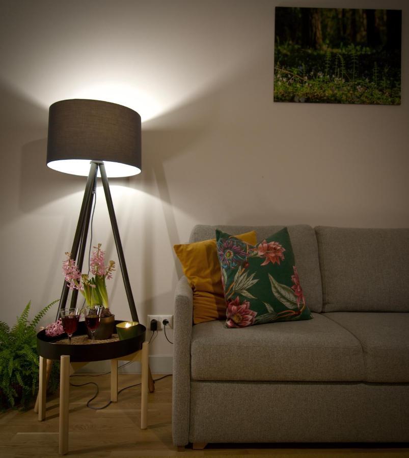 A New Designed Cosy Family *