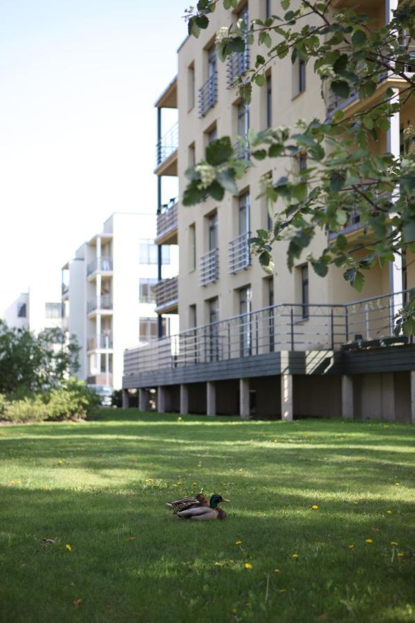 Cozy Kaivas, Free Parking, Self Check-in Apartment