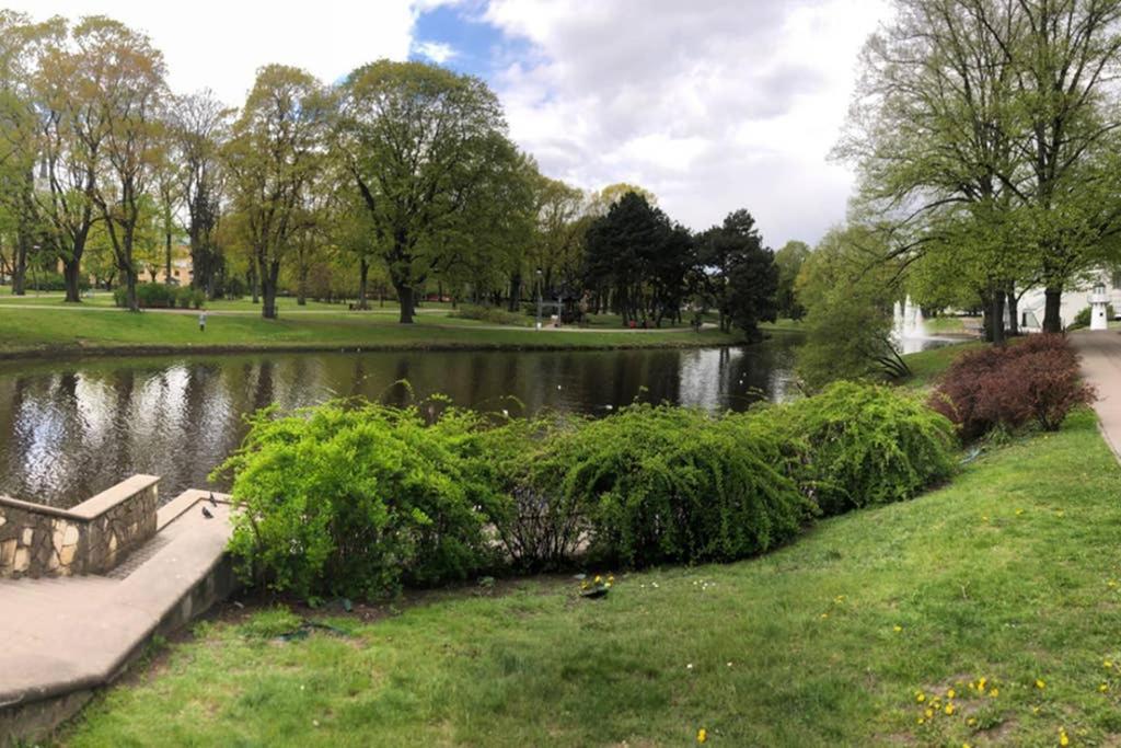New Comfortable Nearby Promenade In 5 Minutes From Old Town Of Riga. Riga