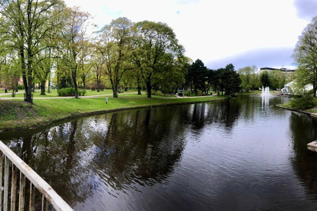 Apartment New Comfortable Nearby Promenade In 5 Minutes From Old Town Of Riga. Riga