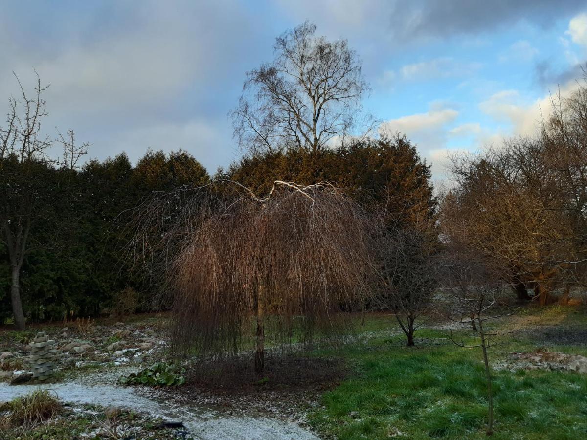 Champetre Park View Korter *