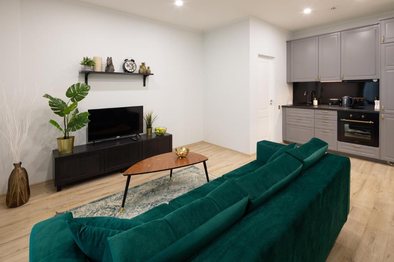 Apartment Old Ridzenes Design *