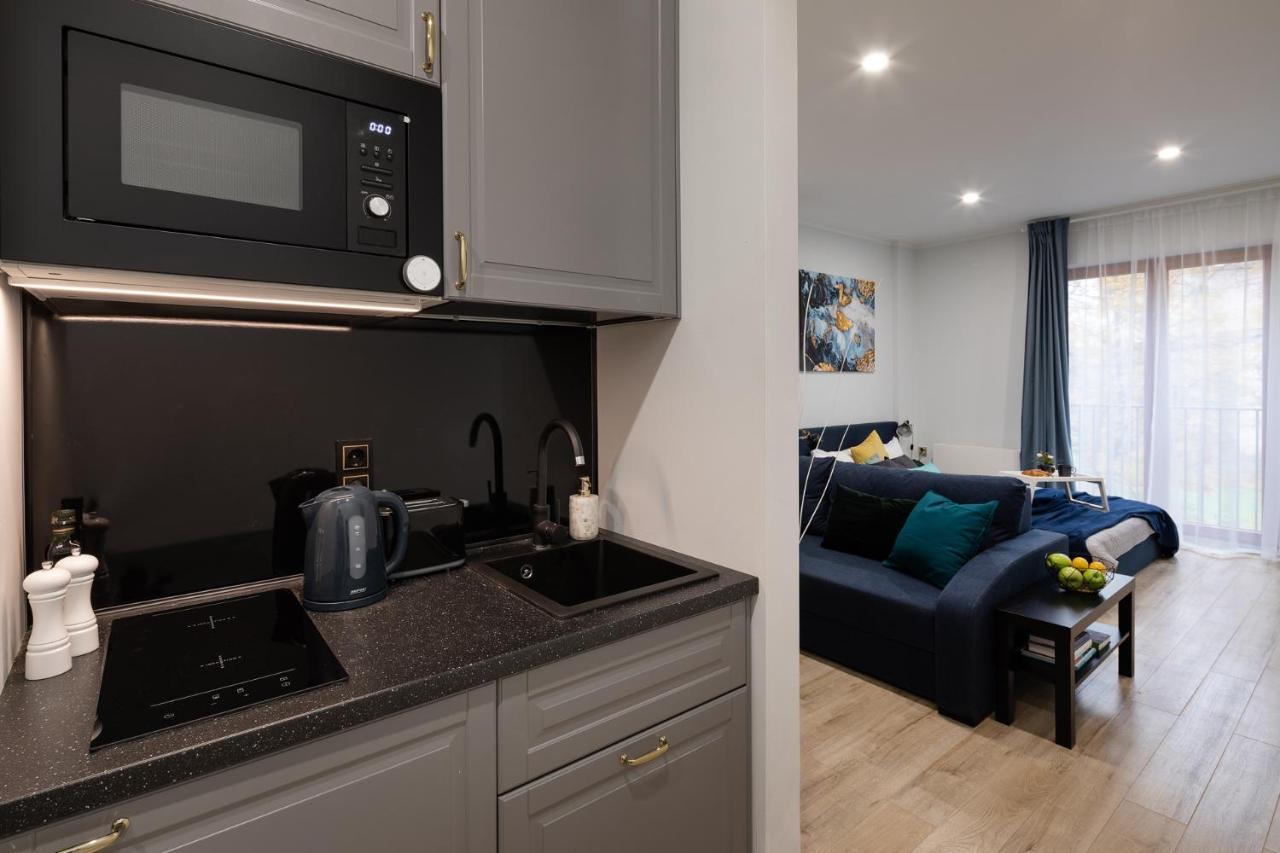 Old Ridzenes Design Apartment *