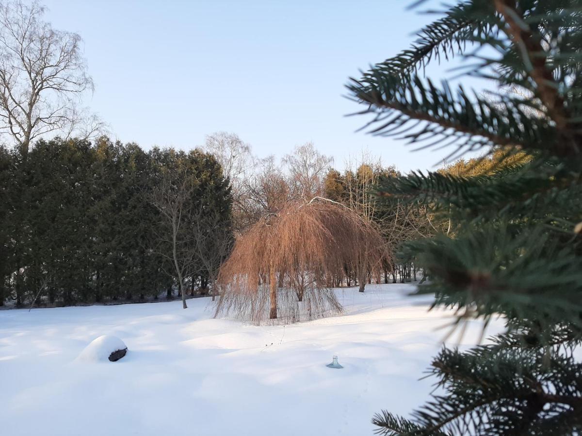 Champetre Park View Riga