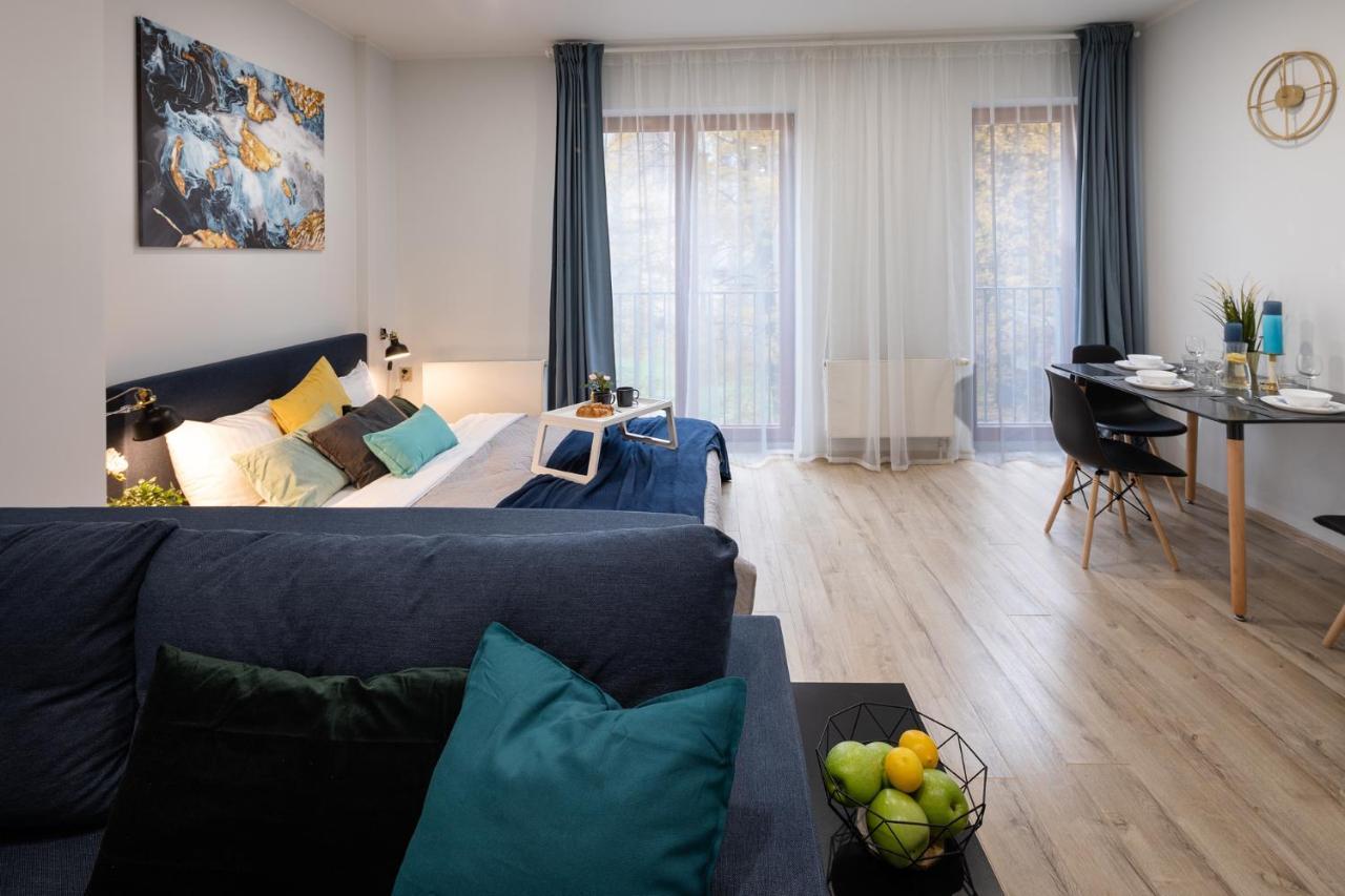 Old Ridzenes Design Apartment