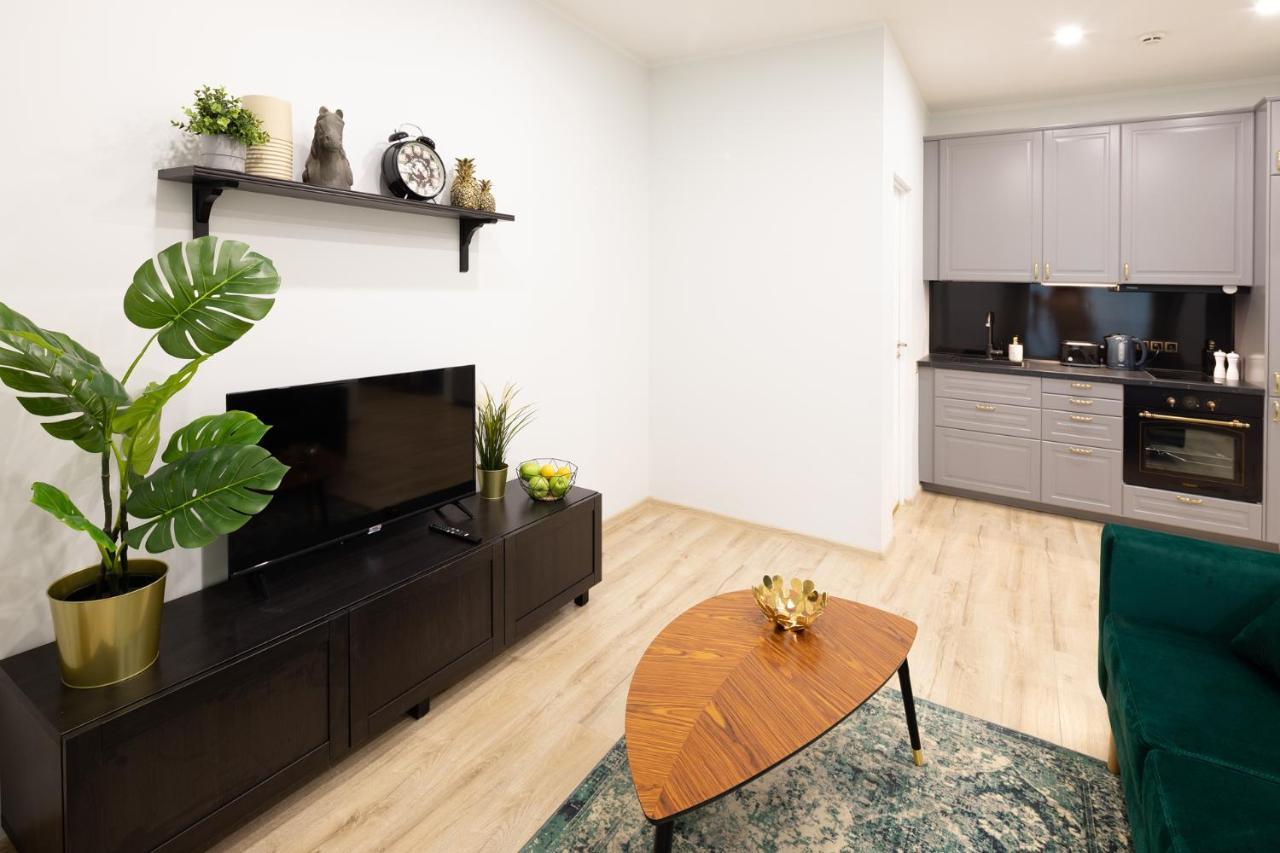 Old Ridzenes Design Apartment *