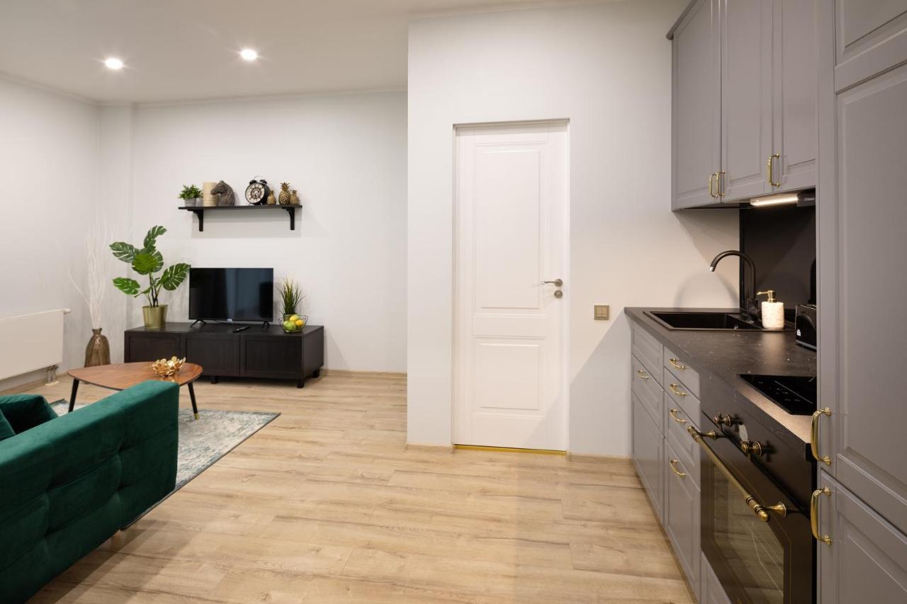 Old Ridzenes Design Apartment *
