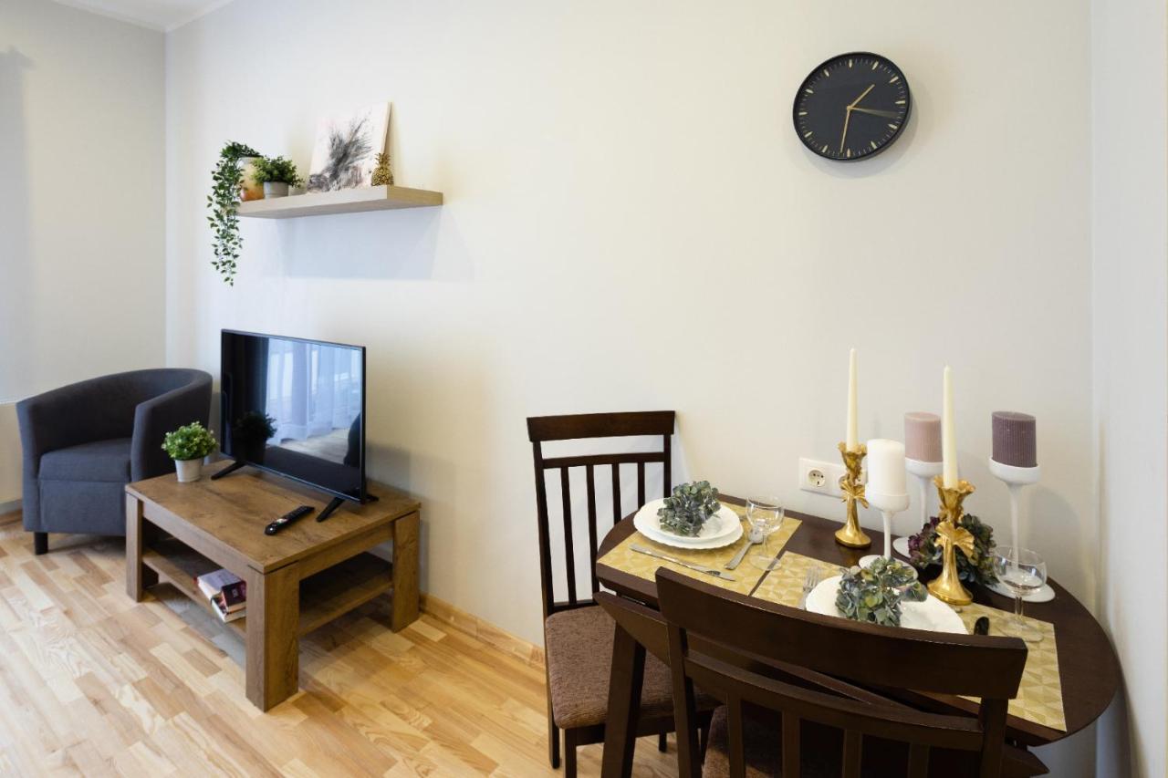 Apartment Old Ridzenes Design *