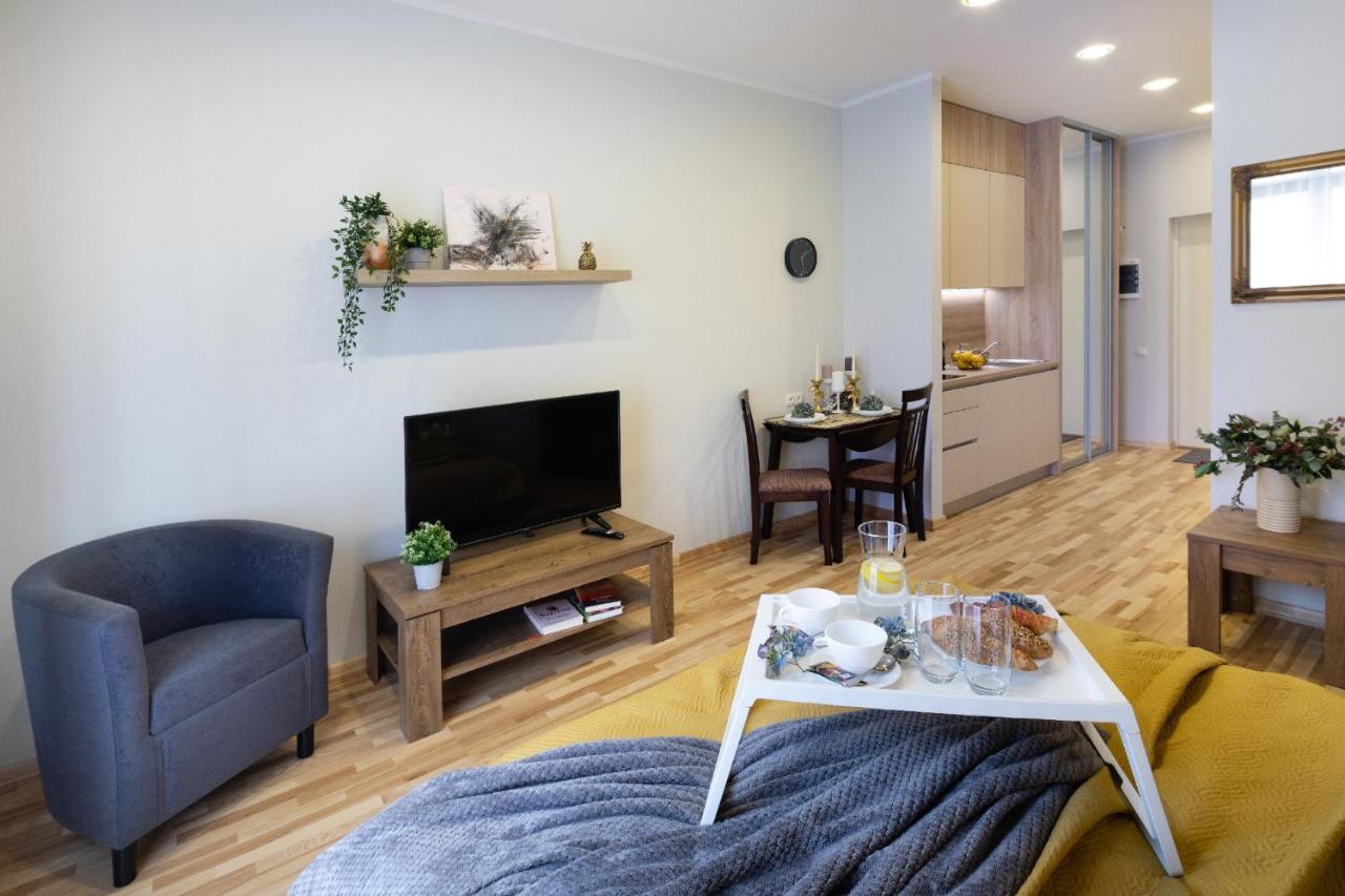 Apartment Old Ridzenes Design *