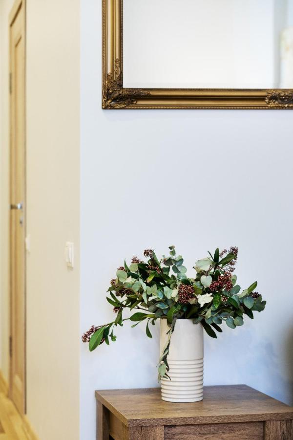 Apartment Old Ridzenes Design *