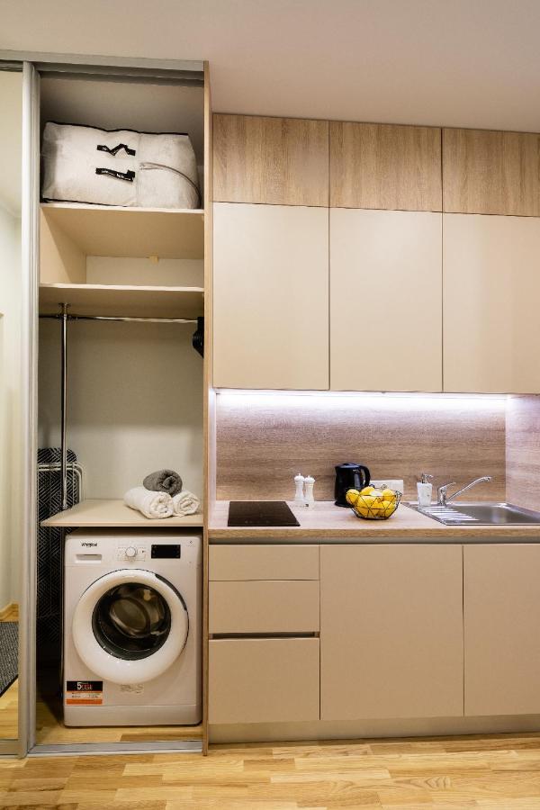 Apartment Old Ridzenes Design