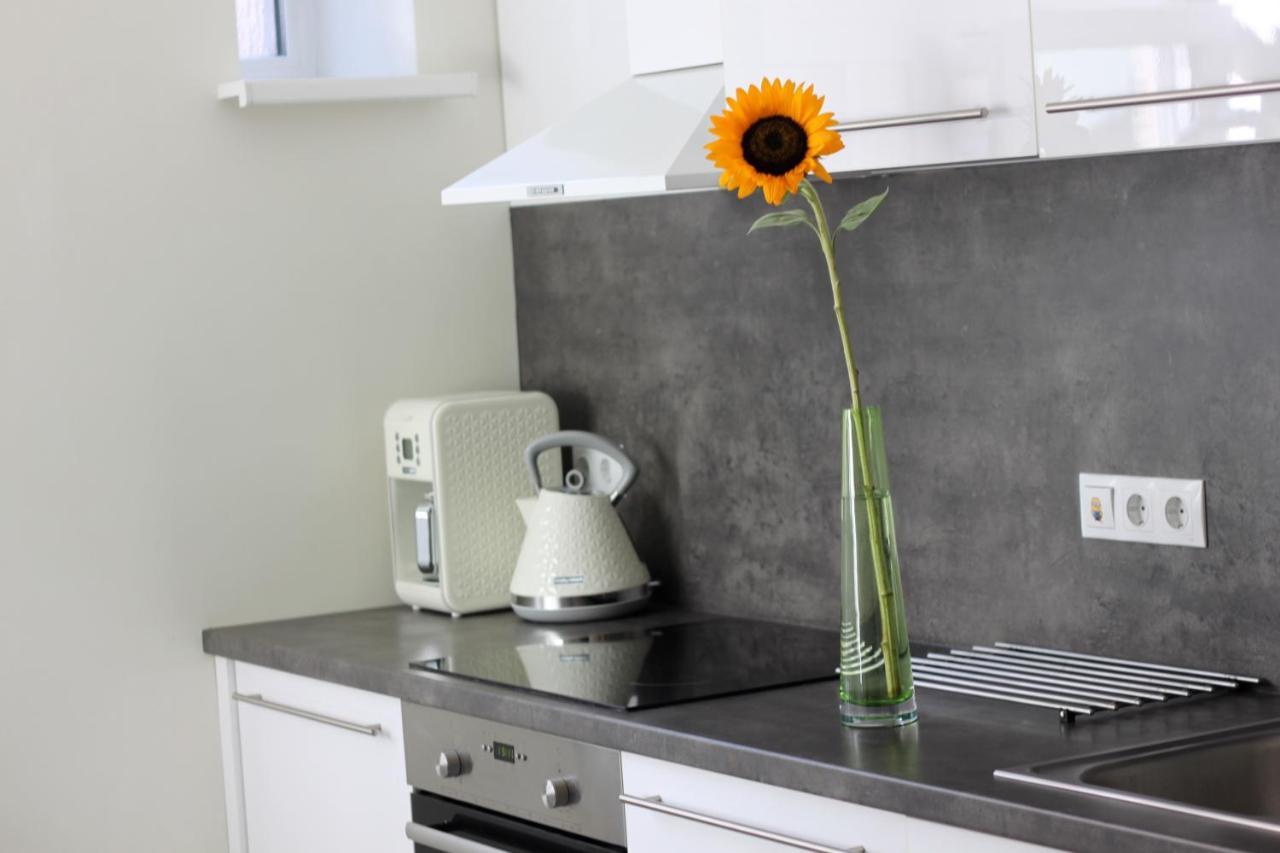 Modern Cozy 1br In Quiet Center Of Apartment Riga