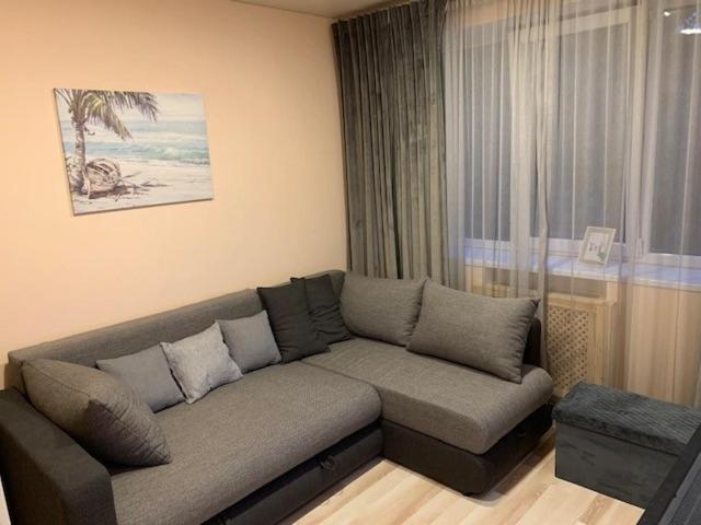 Oak Lounge Lux Apartment