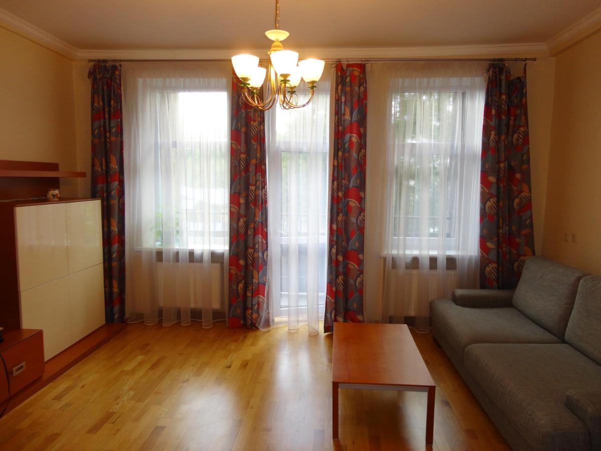 Central Riepnieku Street Apartment