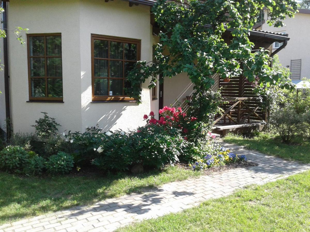 Boutigue House With Terrace And Garden Free Parking Huoneisto *