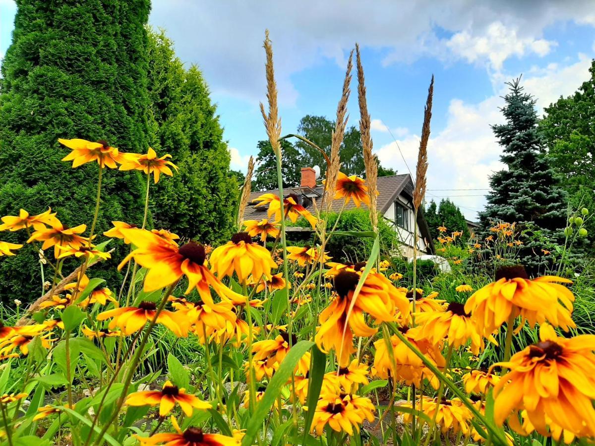 Butas Champetre Park View