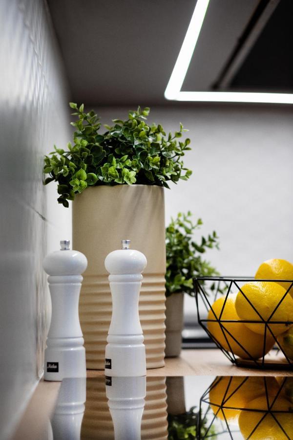 Brivibas House Design In City Center Riga