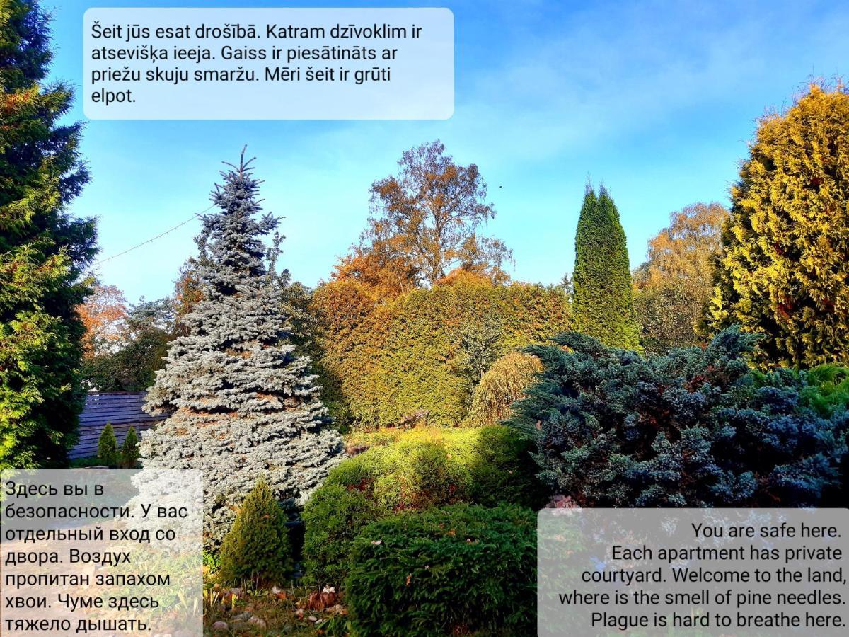 Champetre Park View *