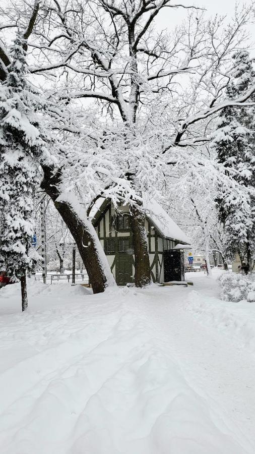 2stavu Parka Namins Viesturdarza Perlu Medniekiem! * Riga