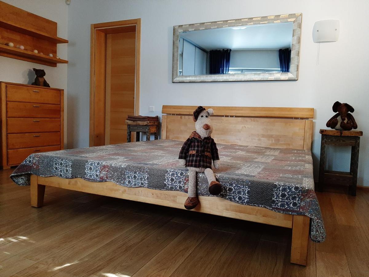 Two Way Free Airport Shuttlе Apartment Riga